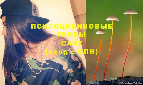 кокаин премиум Белокуриха